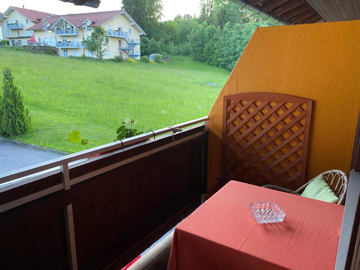 Pension Waldblick Spiegelau Exterior photo