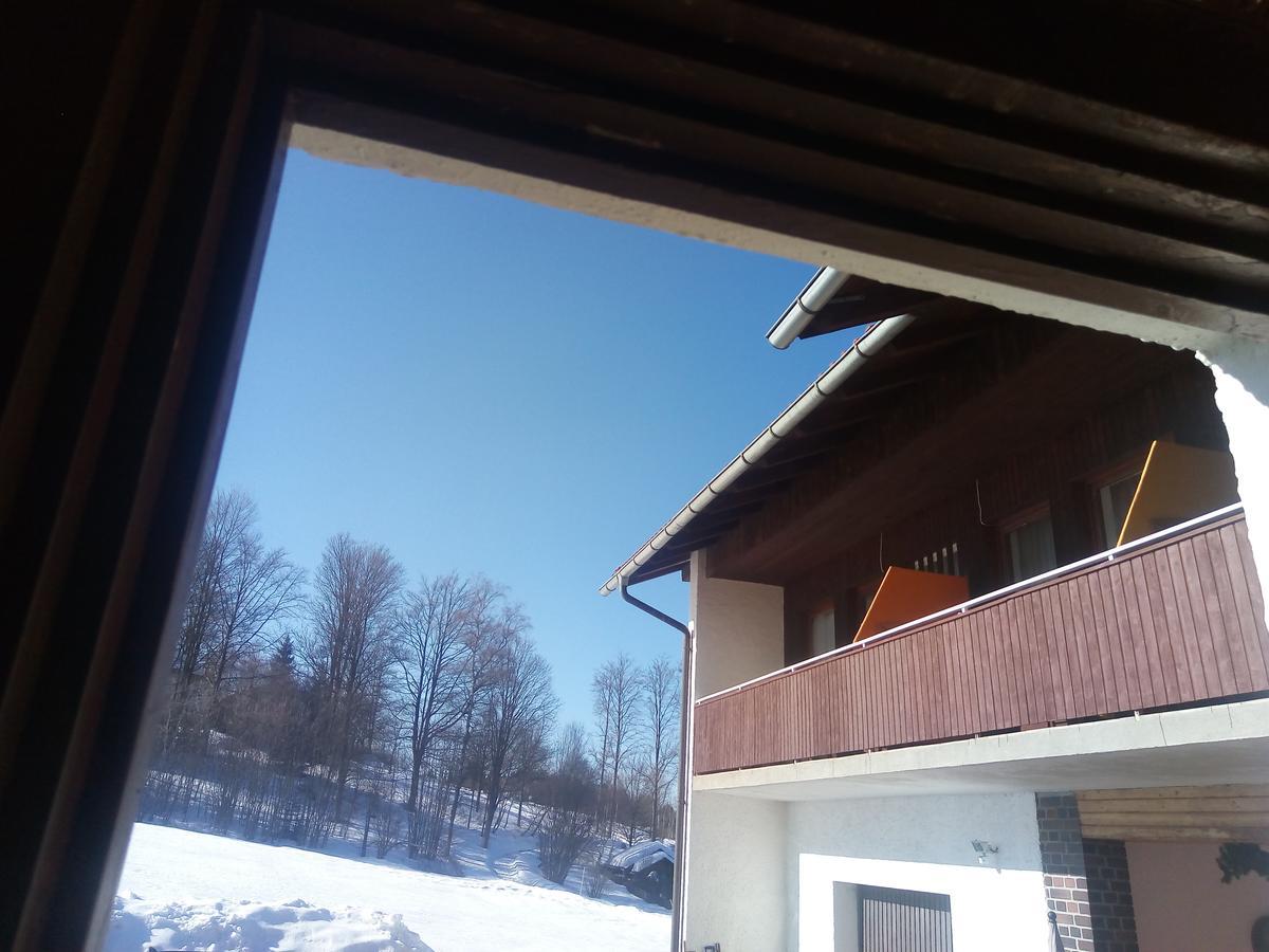 Pension Waldblick Spiegelau Exterior photo
