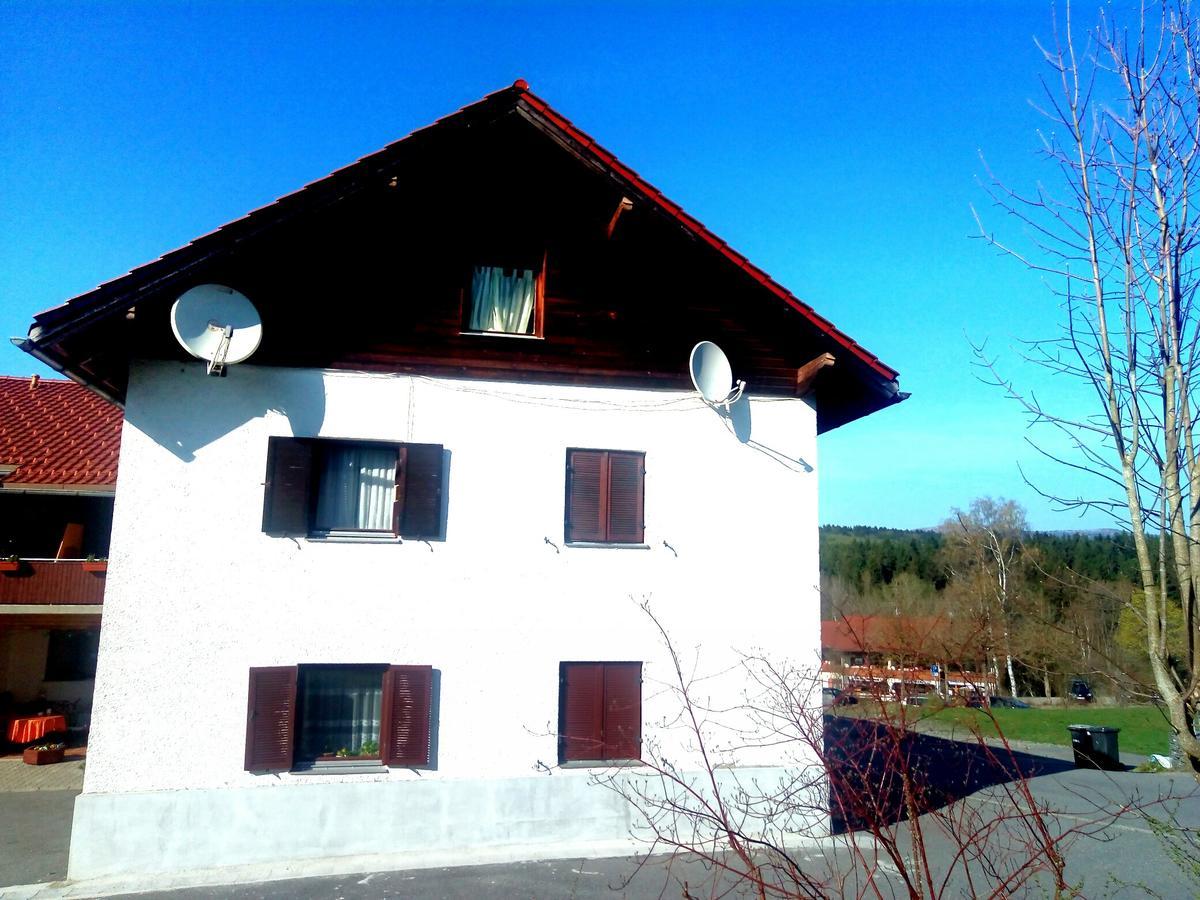 Pension Waldblick Spiegelau Exterior photo