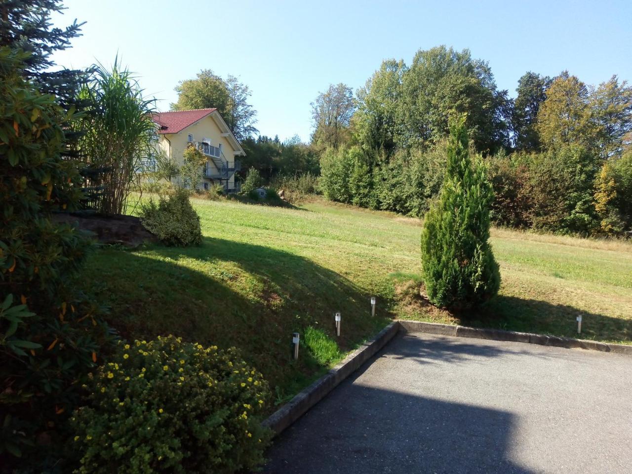 Pension Waldblick Spiegelau Exterior photo